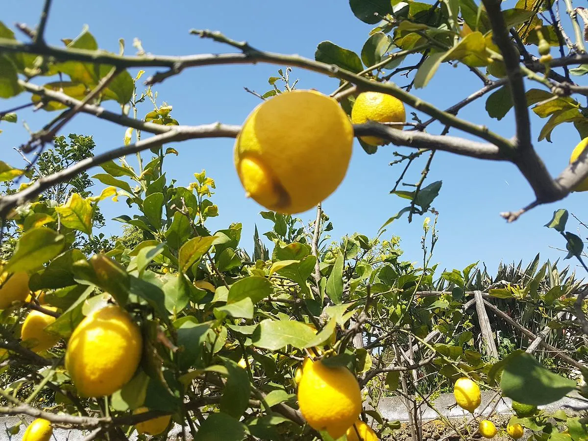 מלון אסראלה Pumadamuri איטליה